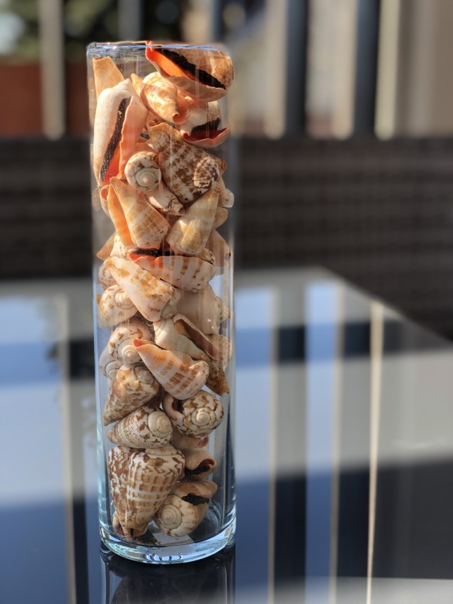 Üveg váza, henger alakú, kagyló-csigaház dekor töltettel  (eladási egység: Darab)