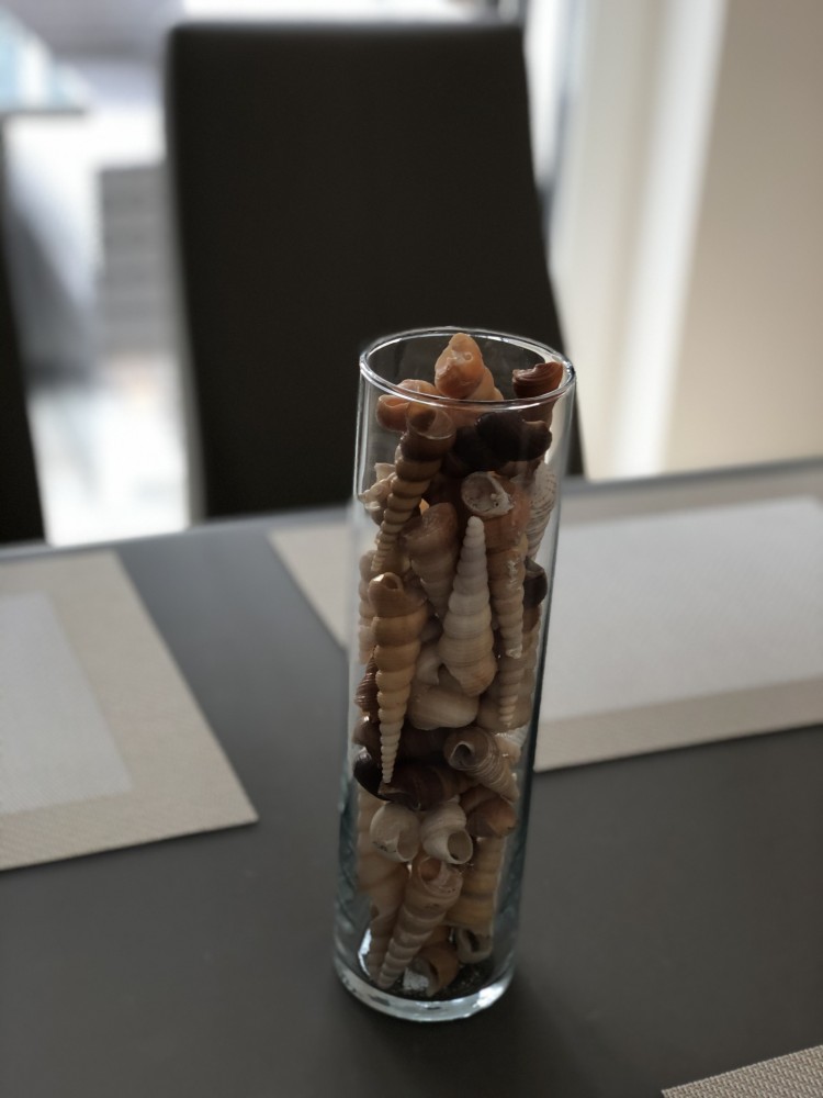 Üveg váza, henger alakú, kagyló-csigaház dekor töltettel  (eladási egység: Darab)