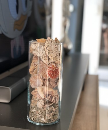 Üveg váza (9,5x23 cm), henger alakú, kagyló-csigaház dekor töltettel  (eladási egység: Darab)