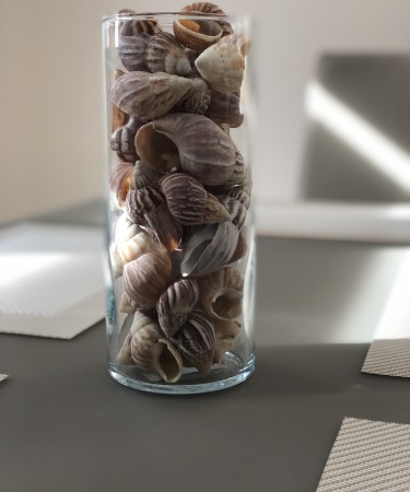 Üveg váza (9,5x23cm), henger alakú, kagyló-csigaház dekor töltettel  (eladási egység: Darab)