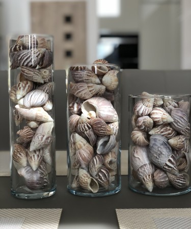 Üveg váza, henger alakú (17,5x12 cm), kagyló-csigaház dekor töltettel  (eladási egység: Darab)