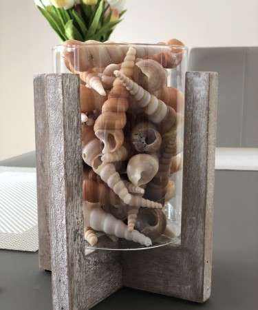 Üveg váza, henger alakú,  fa díszaljal (19,5x12,5 cm), kagyló - csigaház dekor töltettel  (eladási egység: Darab)